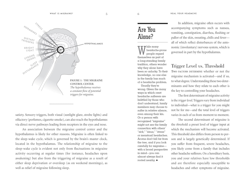 Sample content_Heal Your Headache