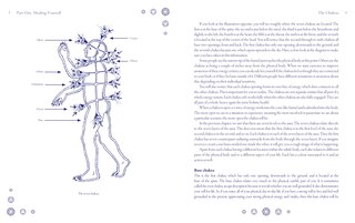 Sample content 3_HEALING HDBK