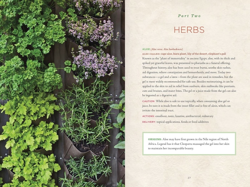 Aperçu du contenu_Healing Herbs Handbook