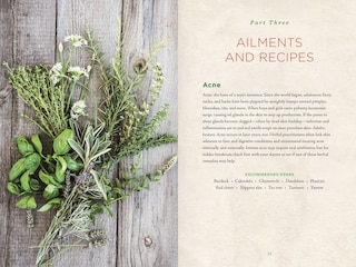 Aperçu du contenu 3_Healing Herbs Handbook