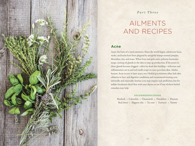 Aperçu du contenu 3_Healing Herbs Handbook