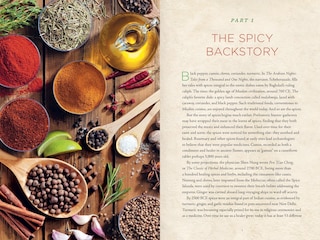 Sample content 2_Healing Spices Handbook