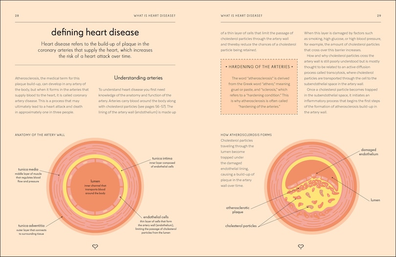 Sample content 5_Heart