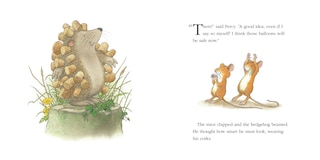 Aperçu du contenu 2_Hedgehog’s Balloon