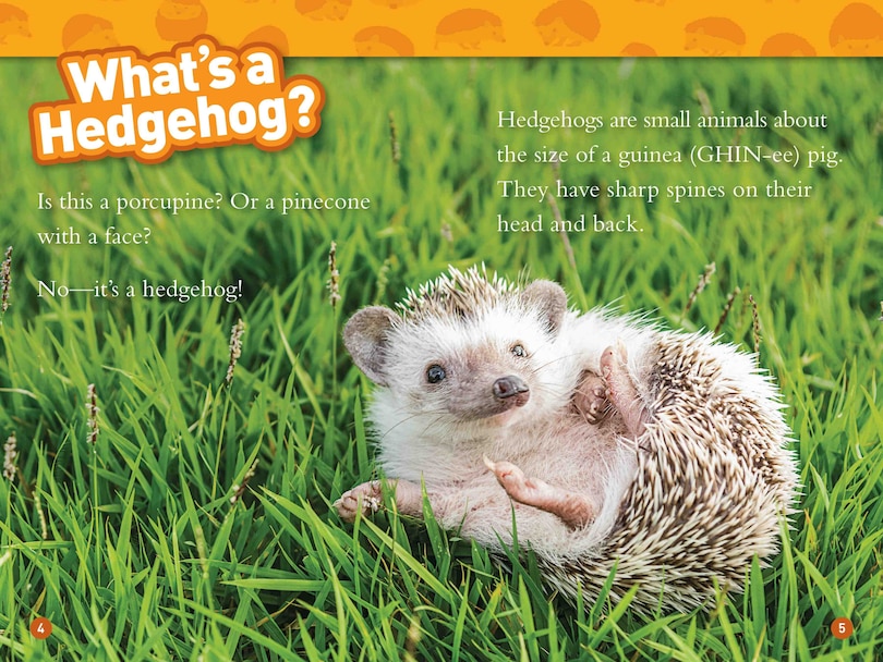 Aperçu du contenu 2_Hedgehogs (National Geographic Kids Readers, Level 1)