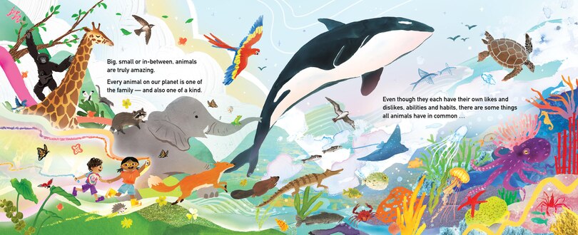 Aper&ccedil;u du contenu_Hello, Beautiful Animal