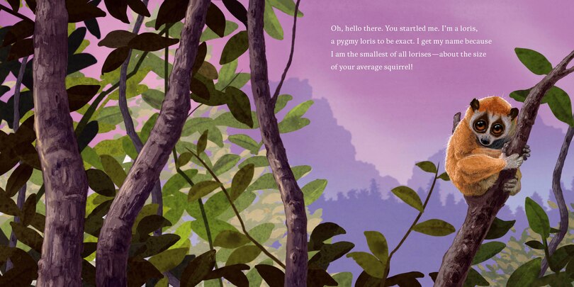 Sample content_Hello, I'm a Loris (Meet the Wild Things, Book 6)