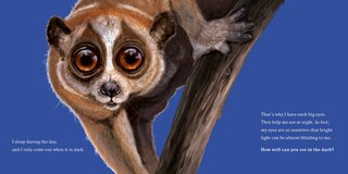 Sample content 2_Hello, I'm a Loris (Meet the Wild Things, Book 6)