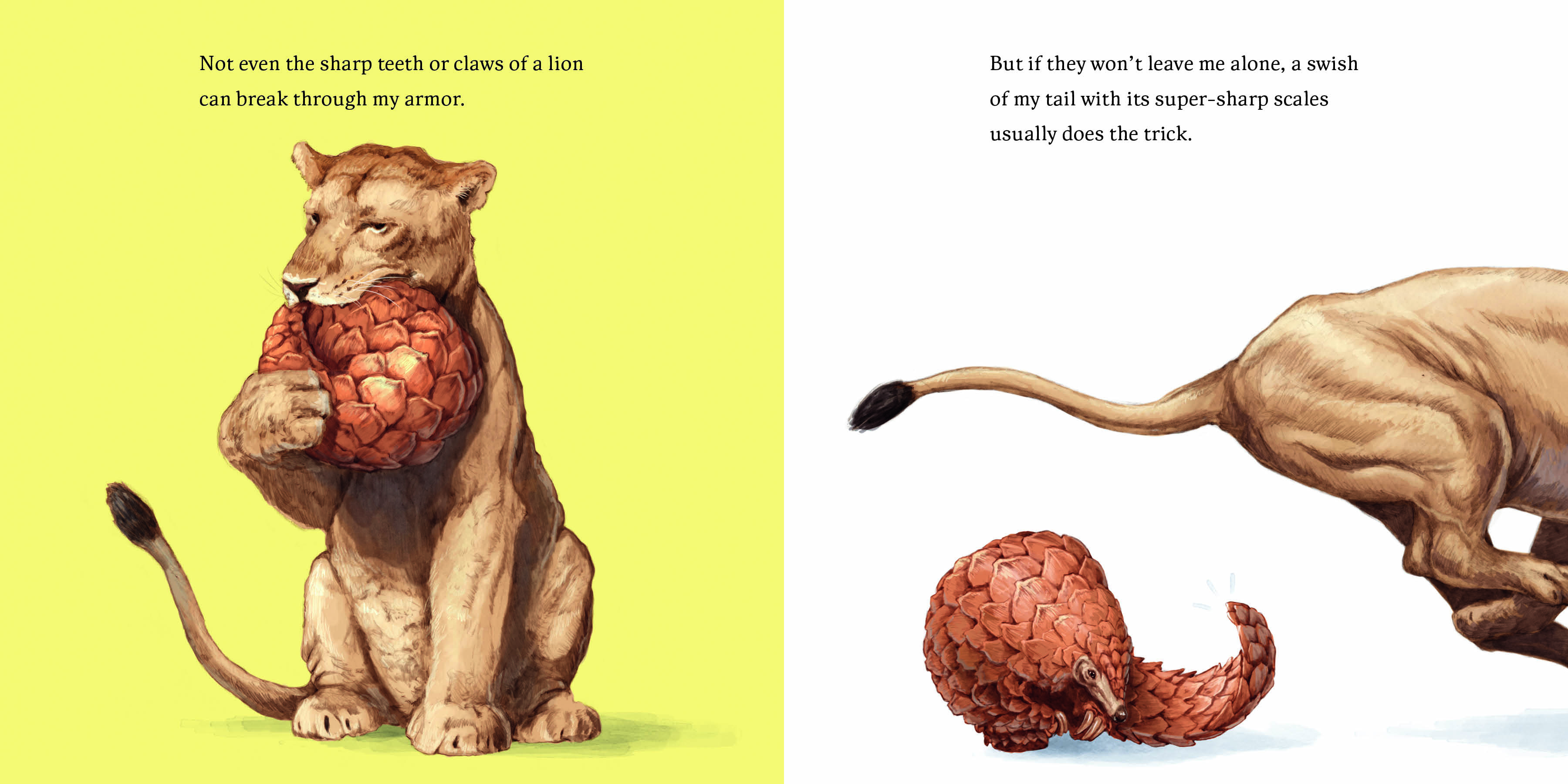 Aper&ccedil;u du contenu_Hello, I'm a Pangolin (Meet the Wild Things, Book 2)