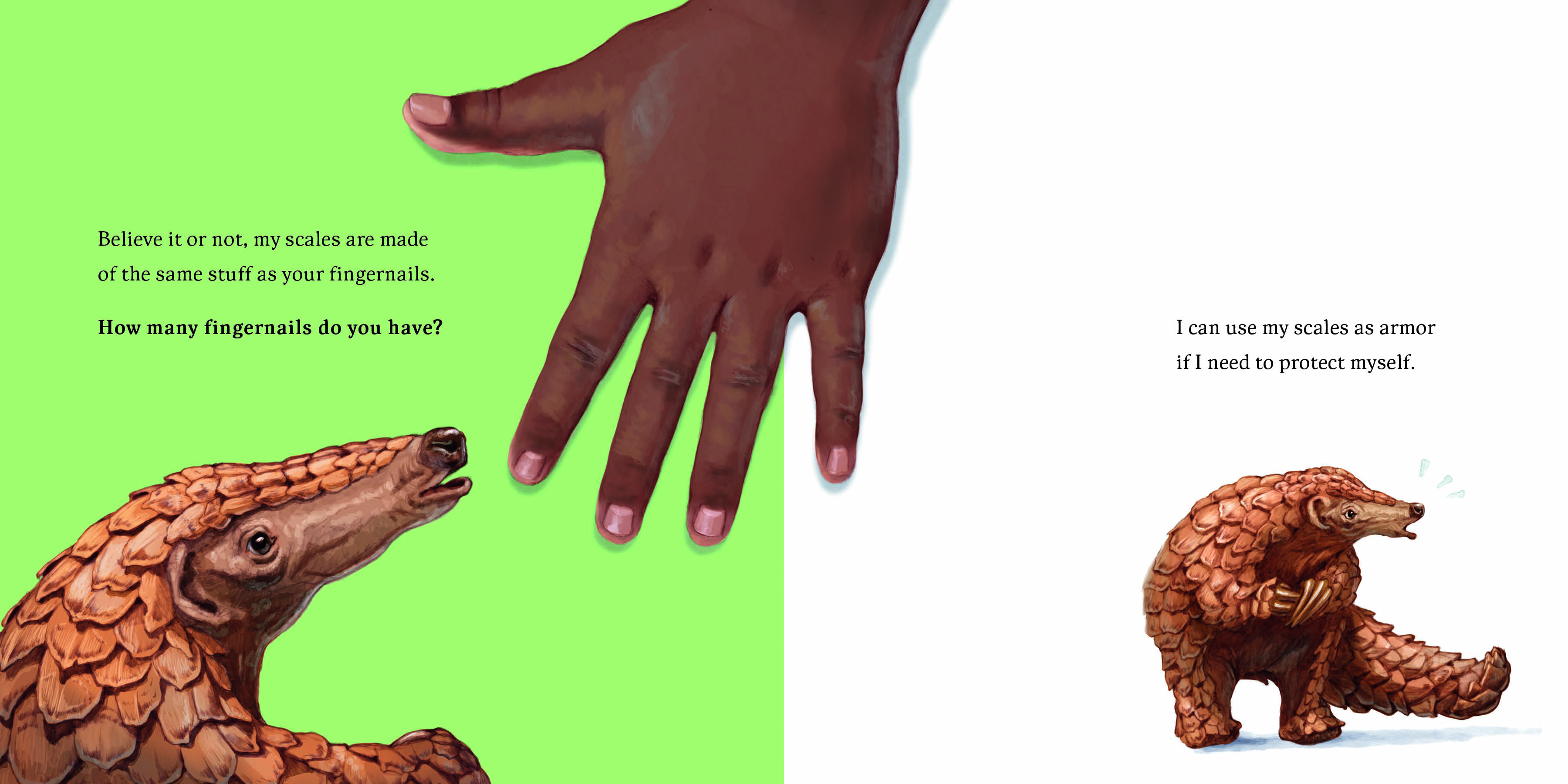 Aper&ccedil;u du contenu 2_Hello, I'm a Pangolin (Meet the Wild Things, Book 2)