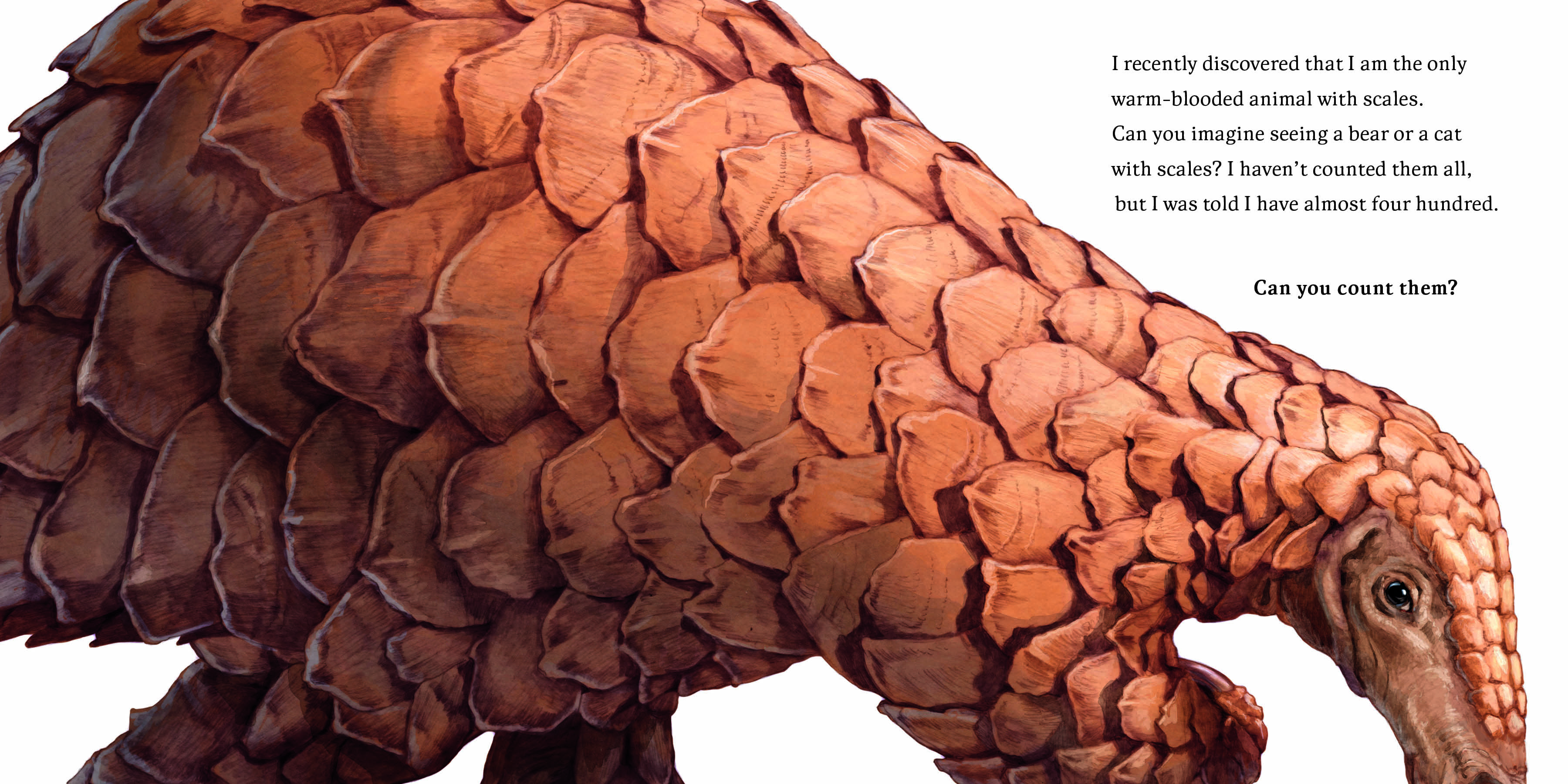 Aper&ccedil;u du contenu 3_Hello, I'm a Pangolin (Meet the Wild Things, Book 2)