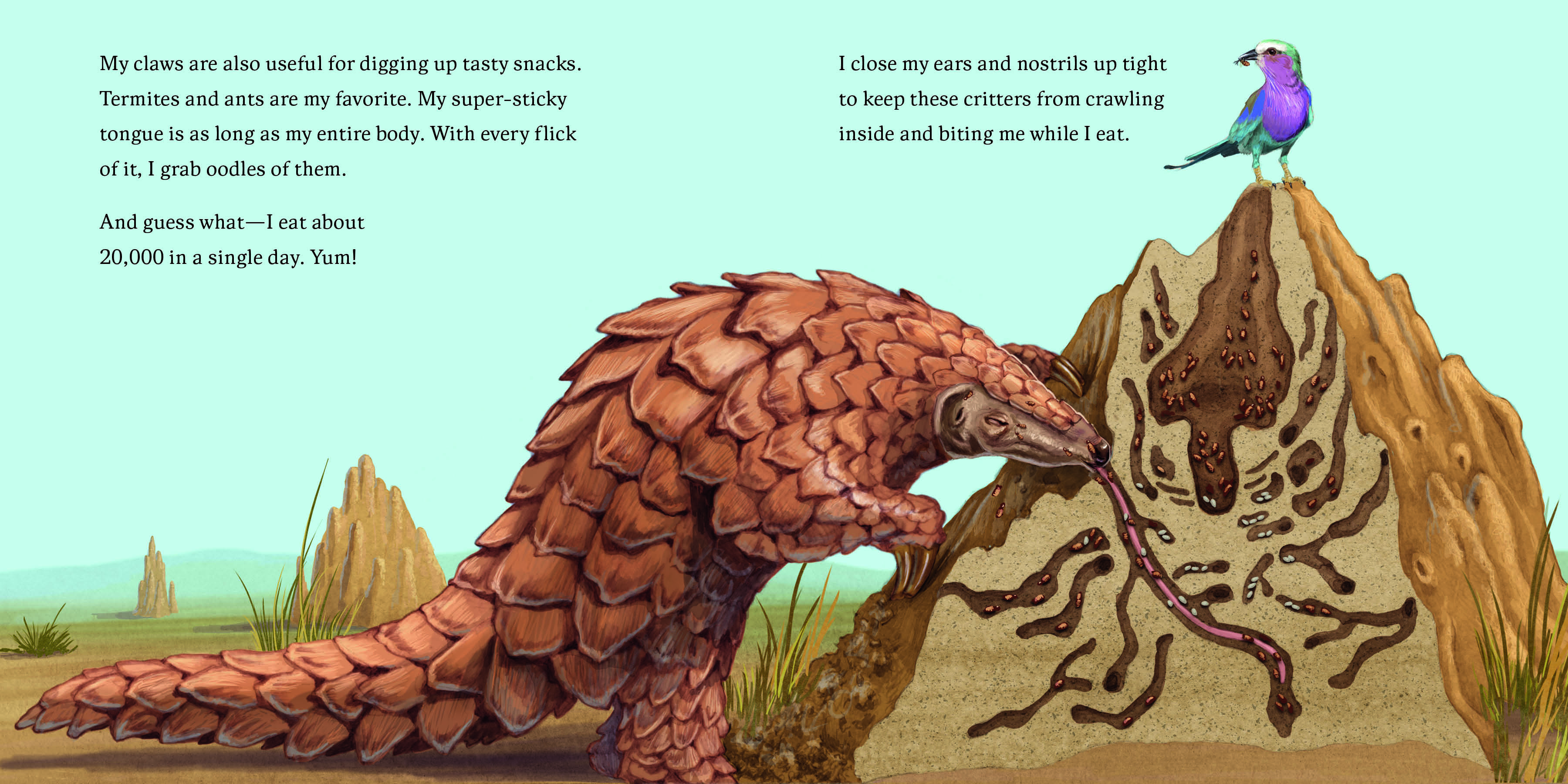 Aper&ccedil;u du contenu 4_Hello, I'm a Pangolin (Meet the Wild Things, Book 2)