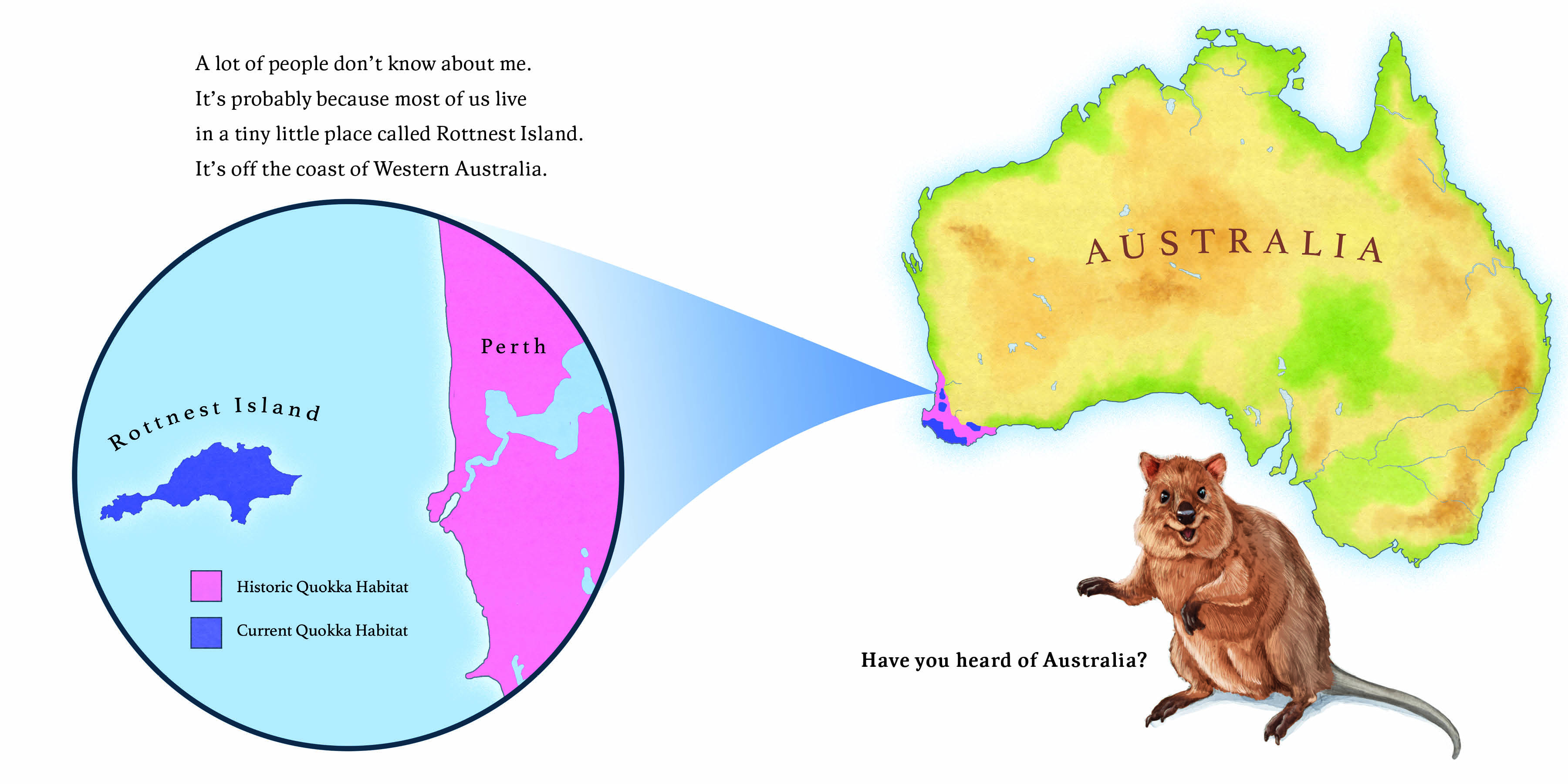 Aper&ccedil;u du contenu_Hello, I'm a Quokka (Meet the Wild Things, Book 3)