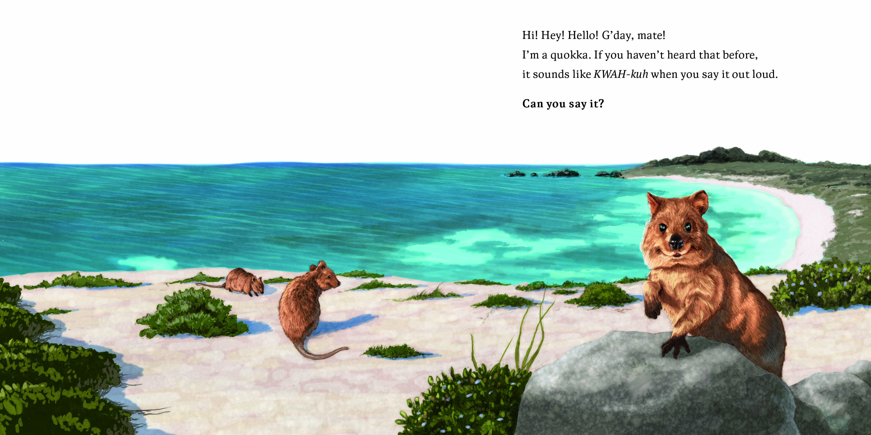 Aper&ccedil;u du contenu 5_Hello, I'm a Quokka (Meet the Wild Things, Book 3)