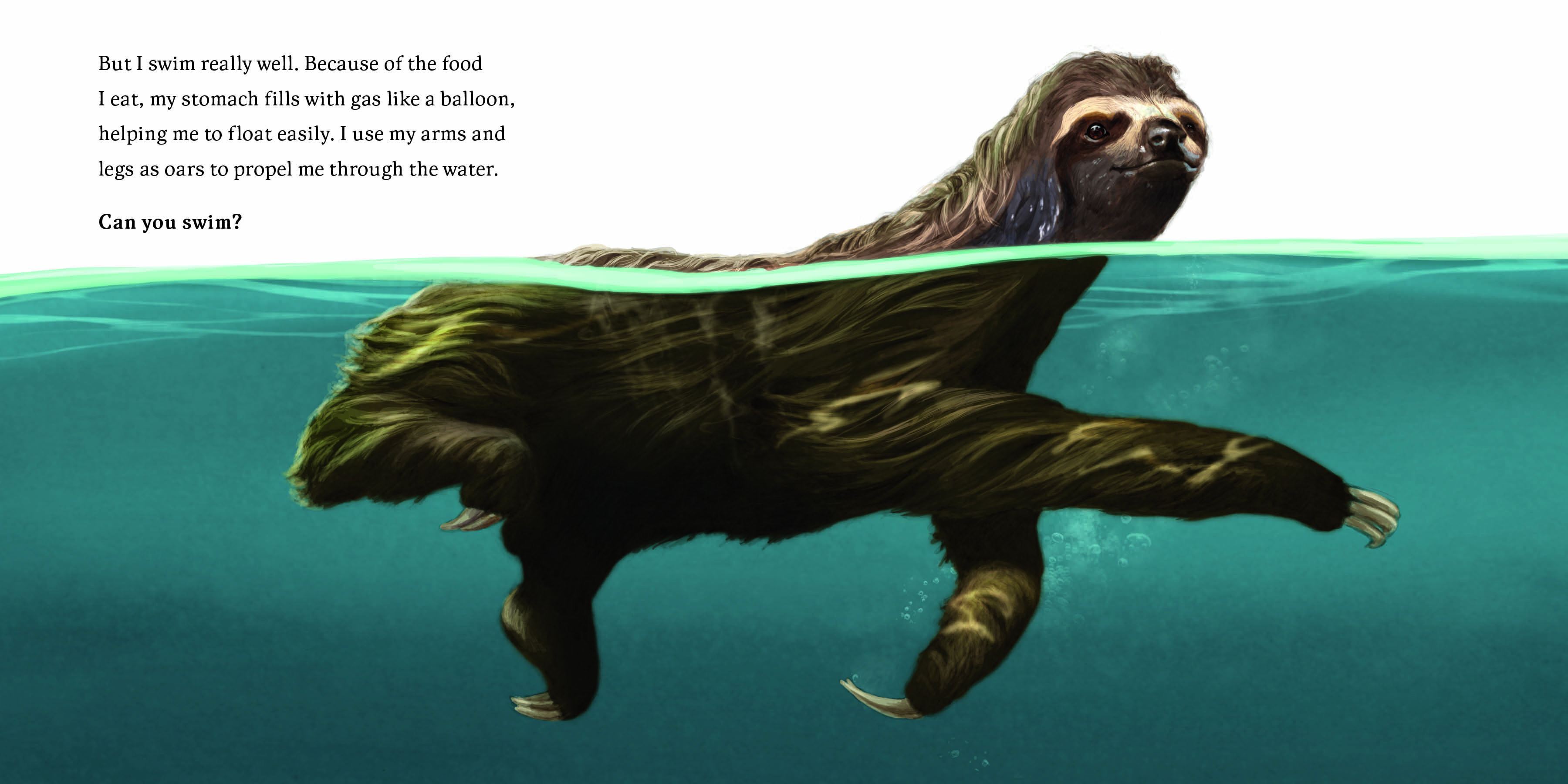 Aper&ccedil;u du contenu 2_Hello, I'm a Sloth (Meet the Wild Things, Book 1)