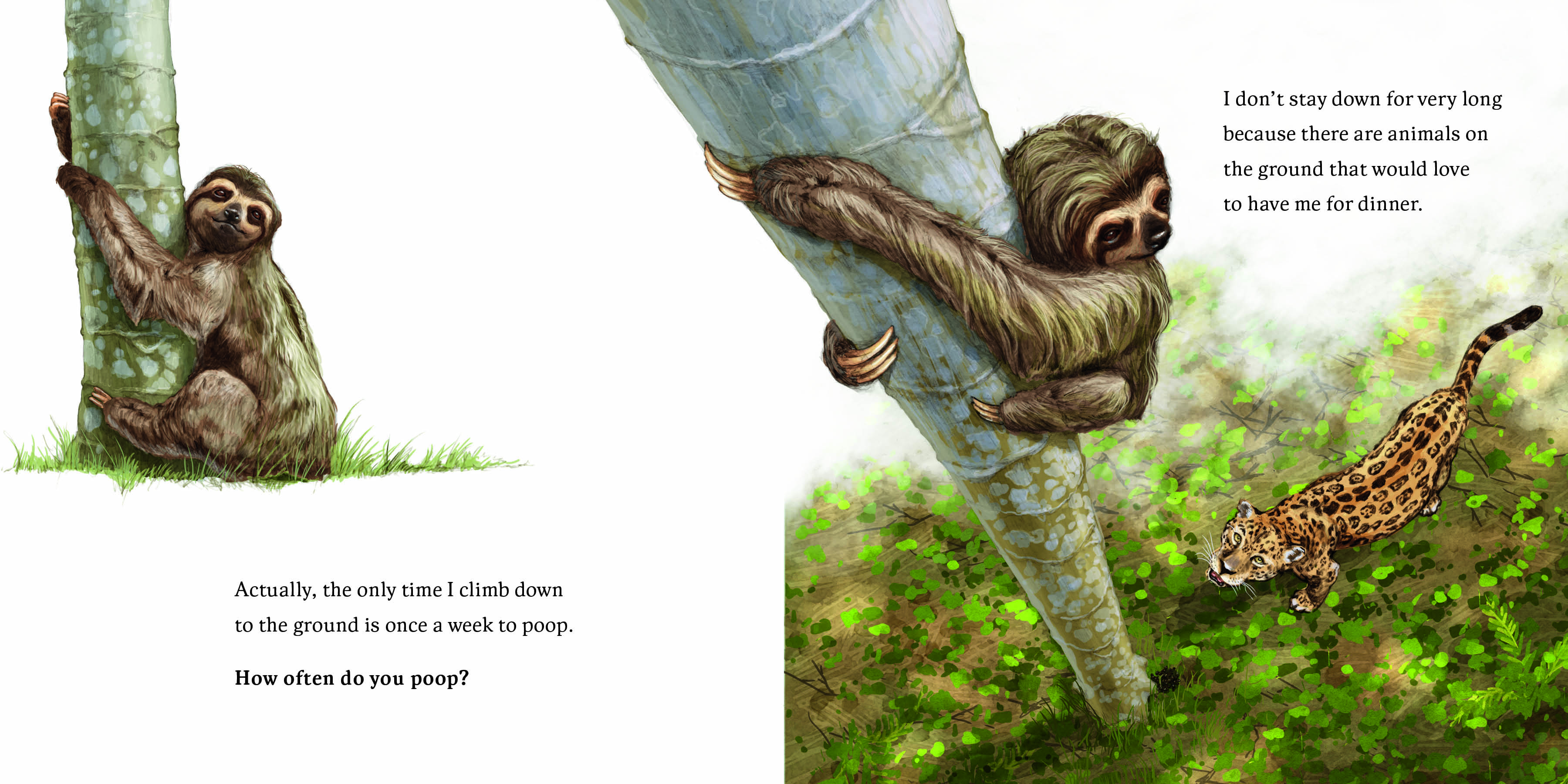 Aper&ccedil;u du contenu 3_Hello, I'm a Sloth (Meet the Wild Things, Book 1)
