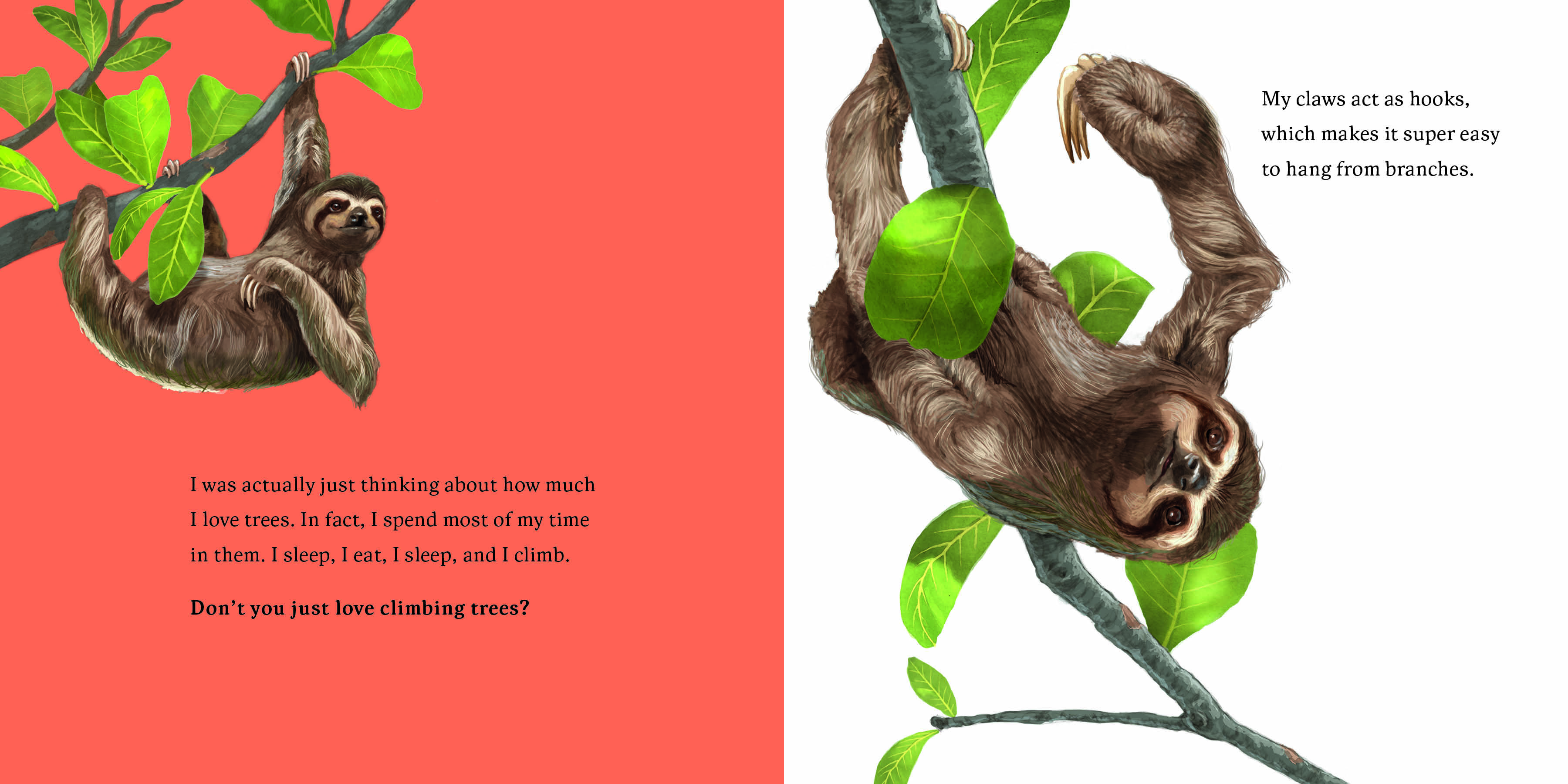 Aper&ccedil;u du contenu 4_Hello, I'm a Sloth (Meet the Wild Things, Book 1)