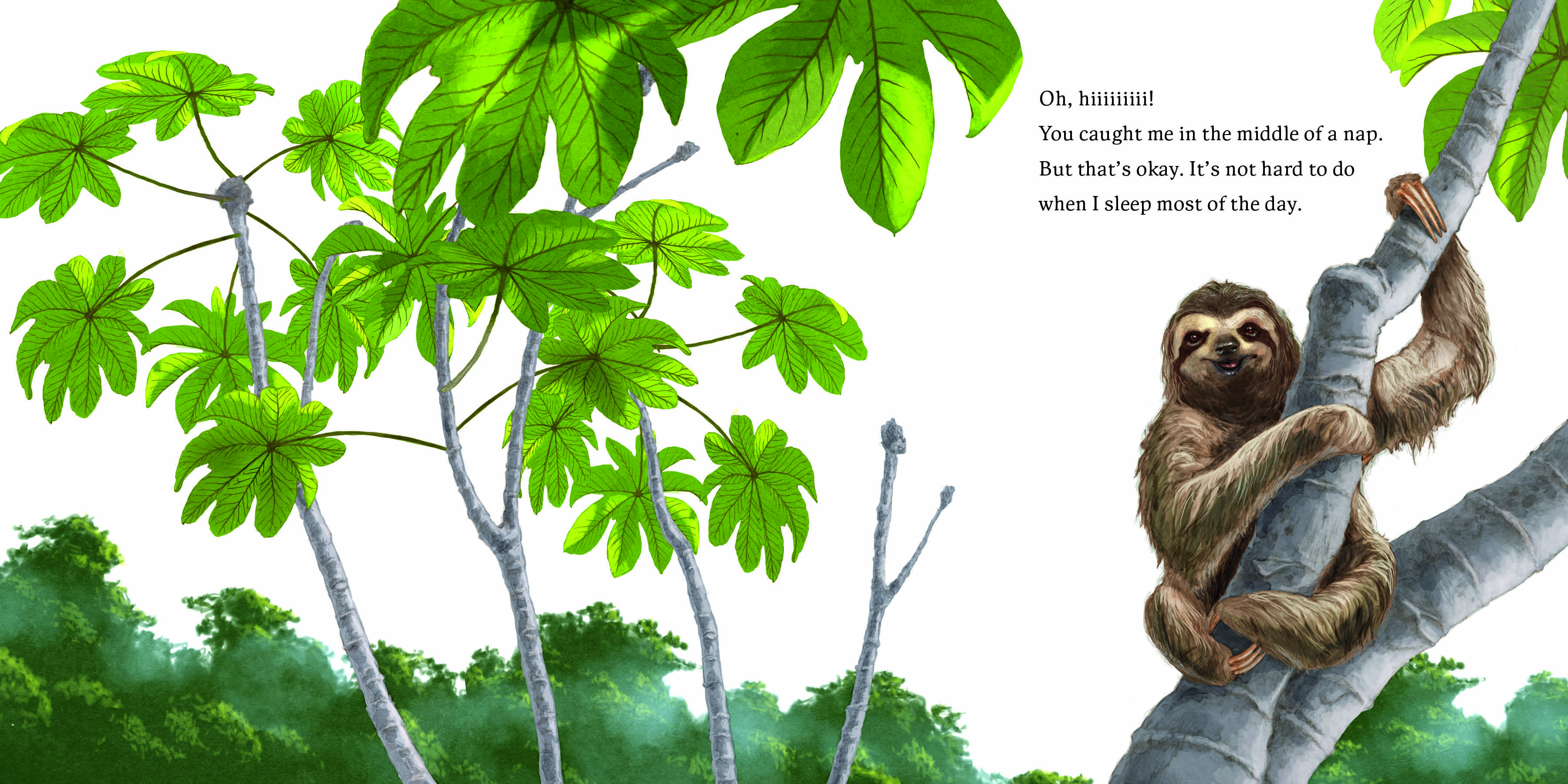 Aper&ccedil;u du contenu 5_Hello, I'm a Sloth (Meet the Wild Things, Book 1)