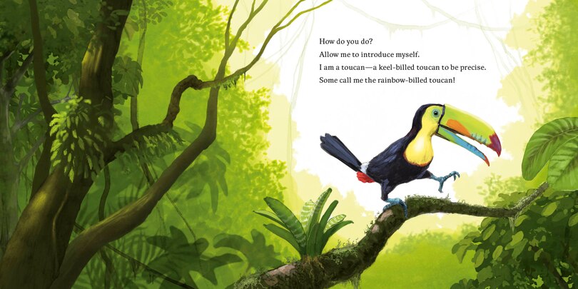 Aperçu du contenu_Hello, I'm a Toucan (Meet the Wild Things, Book 5)