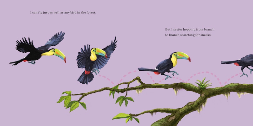 Aperçu du contenu 3_Hello, I'm a Toucan (Meet the Wild Things, Book 5)