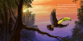 Aperçu du contenu 5_Hello, I'm a Toucan (Meet the Wild Things, Book 5)