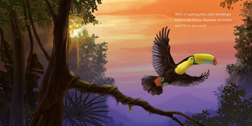 Aperçu du contenu 5_Hello, I'm a Toucan (Meet the Wild Things, Book 5)