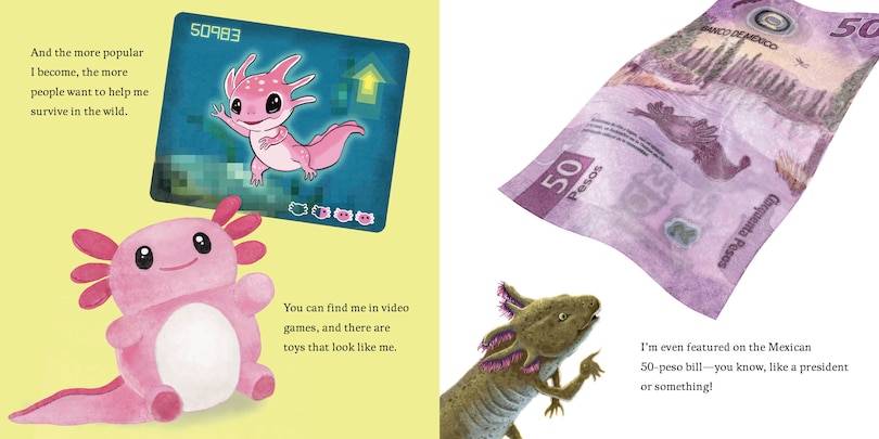 Sample content 2_Hello, I'm an Axolotl (Meet the Wild Things, Book 4)