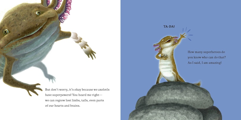 Sample content 3_Hello, I'm an Axolotl (Meet the Wild Things, Book 4)