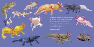 Sample content 4_Hello, I'm an Axolotl (Meet the Wild Things, Book 4)