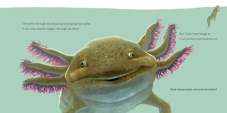 Sample content 5_Hello, I'm an Axolotl (Meet the Wild Things, Book 4)