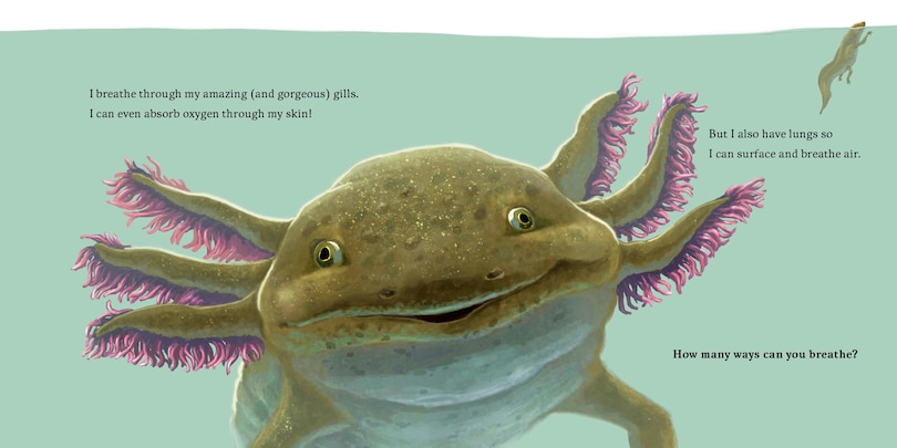 Sample content 5_Hello, I'm an Axolotl (Meet the Wild Things, Book 4)