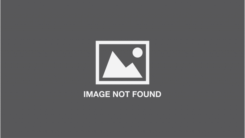 Couverture arrière_Hello, Little Chick (Finger Puppet Book)