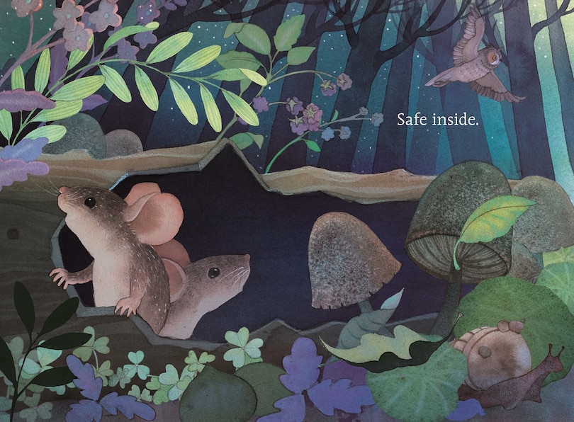 Aper&ccedil;u du contenu 5_Hello, Moon