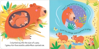Sample content 2_Hello! My Name Is . . . Capybara