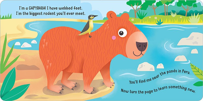 Sample content 3_Hello! My Name Is . . . Capybara