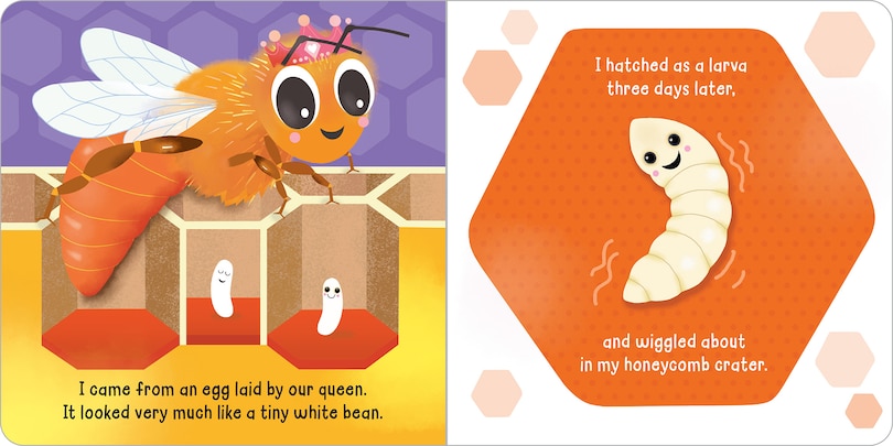 Sample content 2_Hello! My Name Is . . . Honey Bee