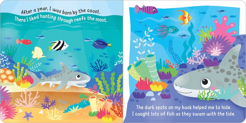 Sample content_Hello! My Name is Tiger Shark