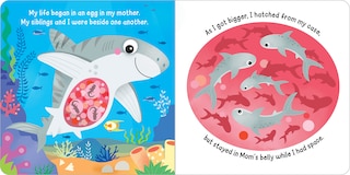 Sample content 2_Hello! My Name is Tiger Shark