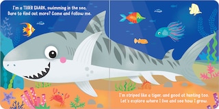 Sample content 3_Hello! My Name is Tiger Shark