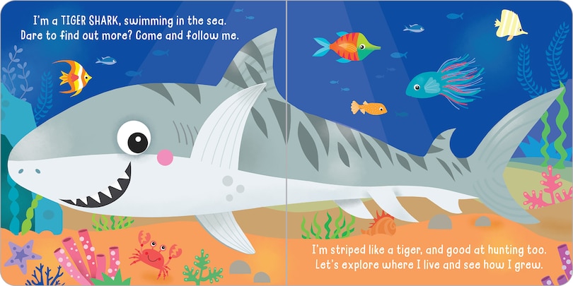 Sample content 3_Hello! My Name is Tiger Shark