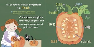 Sample content 3_Hello, World! From Seed to Pumpkin