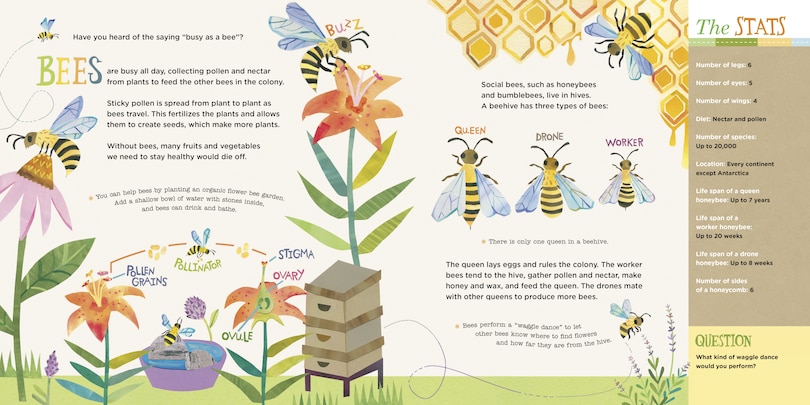 Sample content_Hello, World! Kids' Guides: Exploring Insects