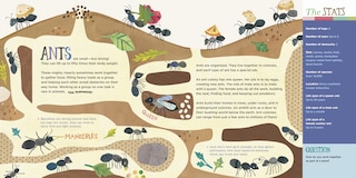 Sample content 2_Hello, World! Kids' Guides: Exploring Insects