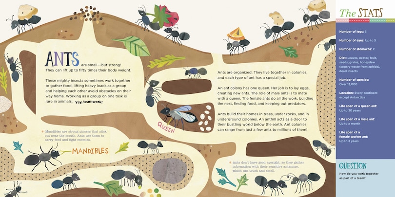 Sample content 2_Hello, World! Kids' Guides: Exploring Insects