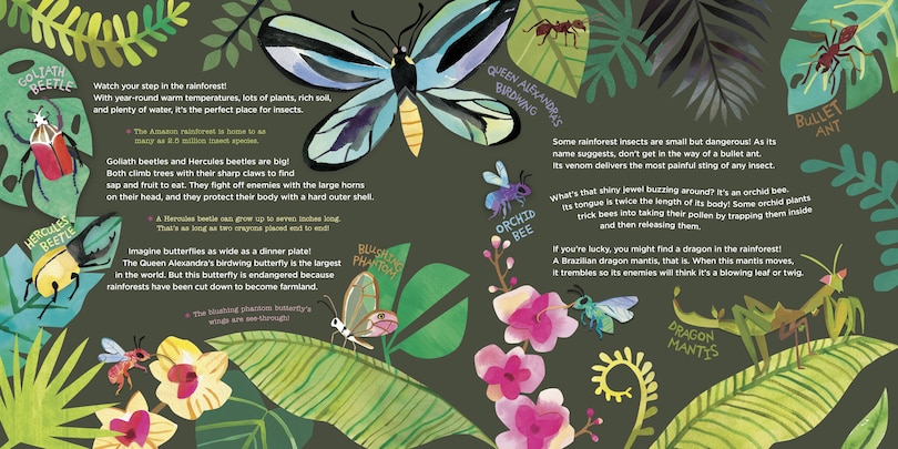 Sample content 3_Hello, World! Kids' Guides: Exploring Insects