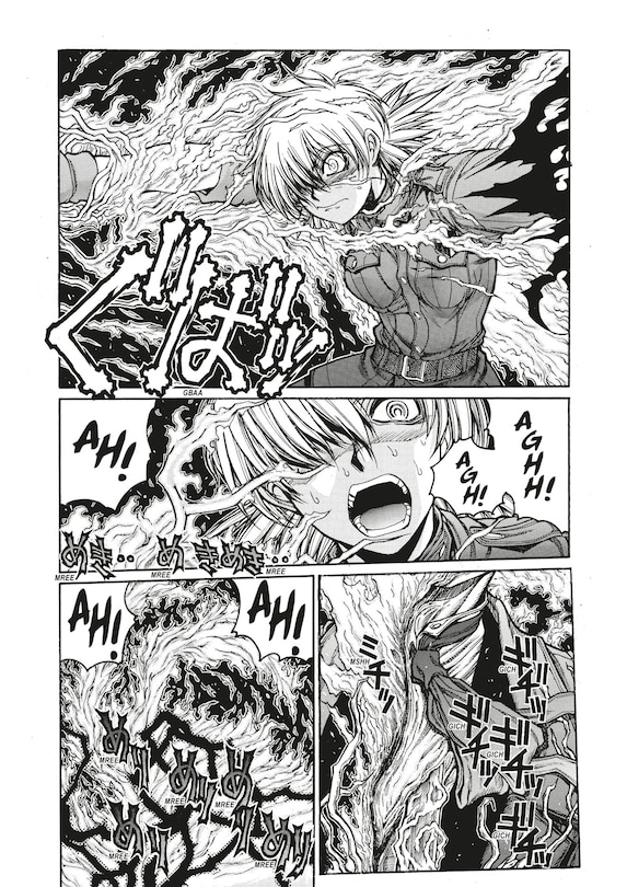 Sample content 4_Hellsing Volume 9 (Second Edition)