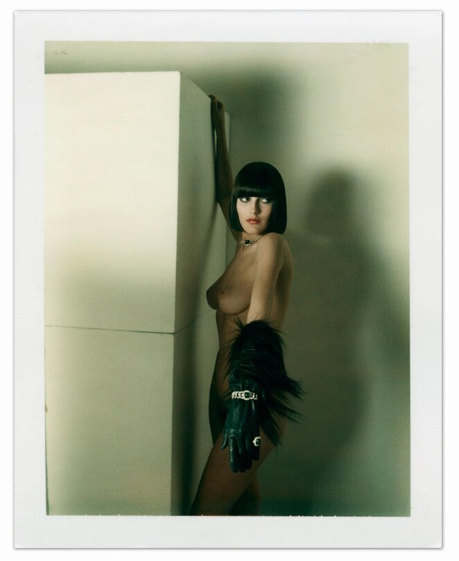 Sample content 2_Helmut Newton: Polaroids
