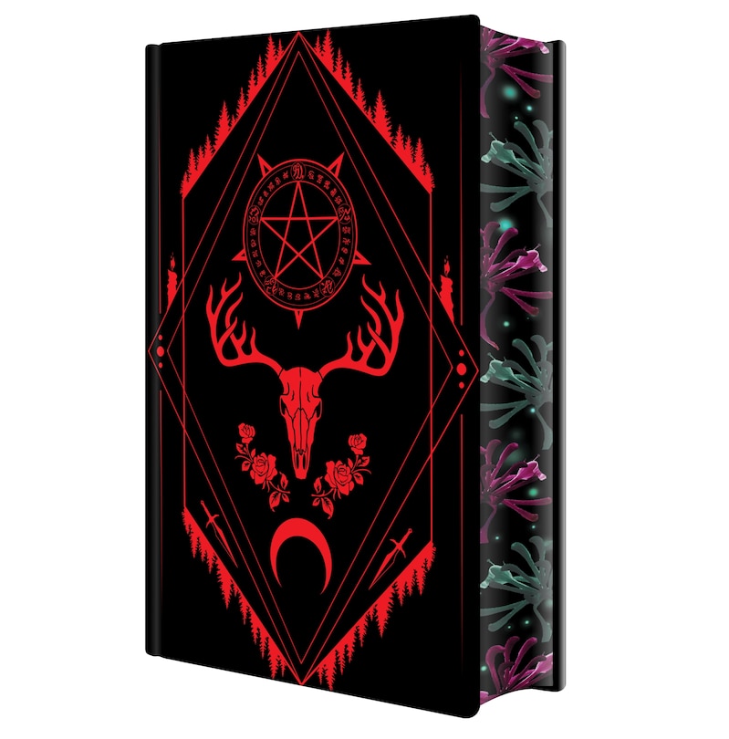Aperçu du contenu 3_Her Soul for Revenge: Deluxe Limited Edition