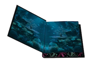 Aperçu du contenu 4_Her Soul for Revenge: Deluxe Limited Edition