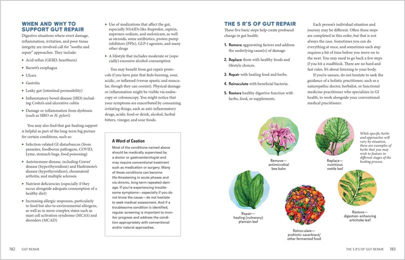 Sample content 2_Herbal Gut Health